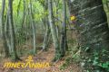 Itinerari Fageda Fosca. Ruta 5 Santa Pau