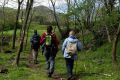 Ruta de les Fonts i Verlets. Ruta 1 Sant Joan les Fonts