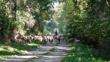 Argelaguer-Mare de Déu del Guilar. Ruta 1 Argelaguer