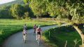 Empreses de guiatges i lloguer de bicicletes