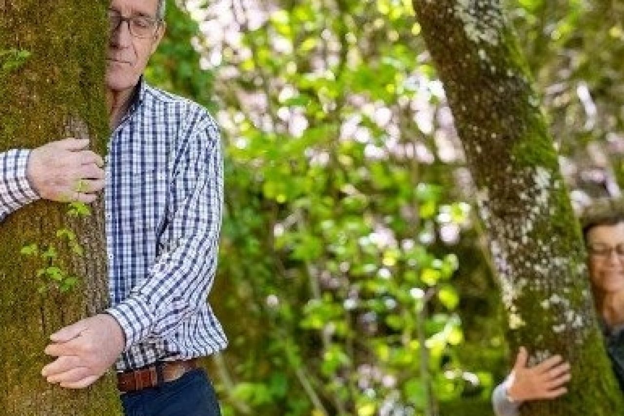 Març: Bany de bosc a l'Alta Garrotxa