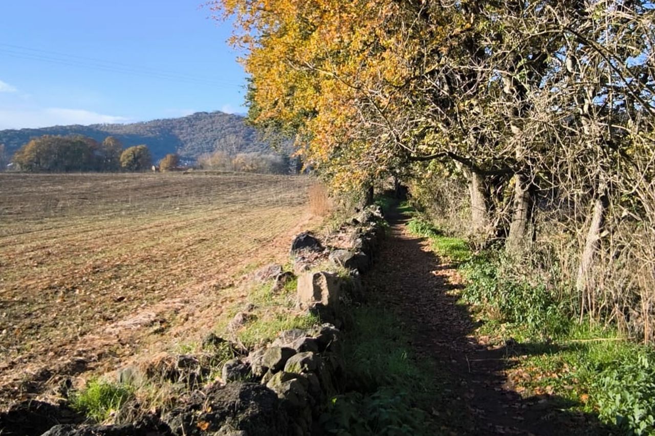 Abril: Fent salut a Olot