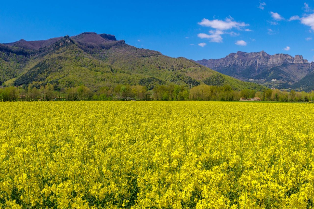 Etapa 4. Sant Feliu de Pallerols- La Vall d’en Bas - Les Preses en BTT
