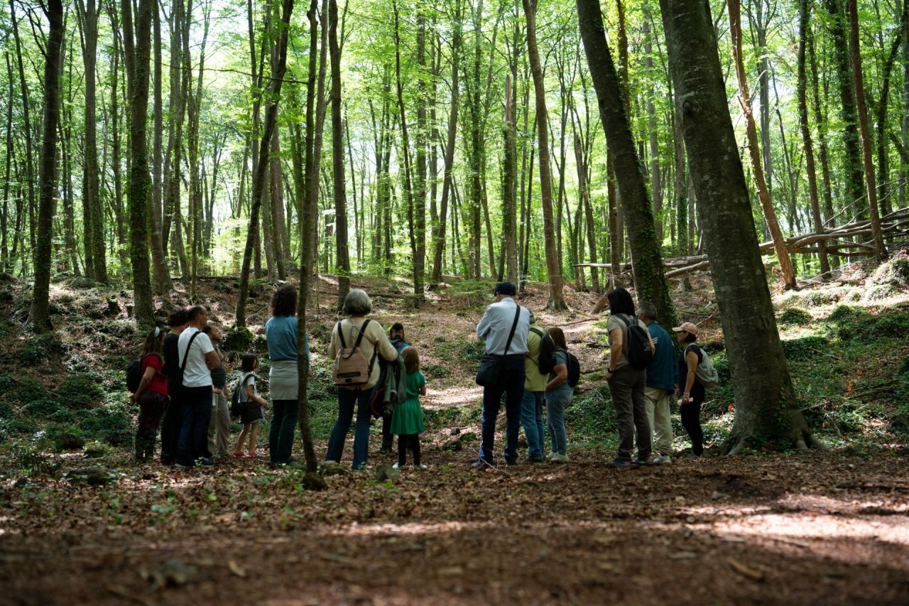 Juny: La Fageda d'en Jordà: un reserva en perill