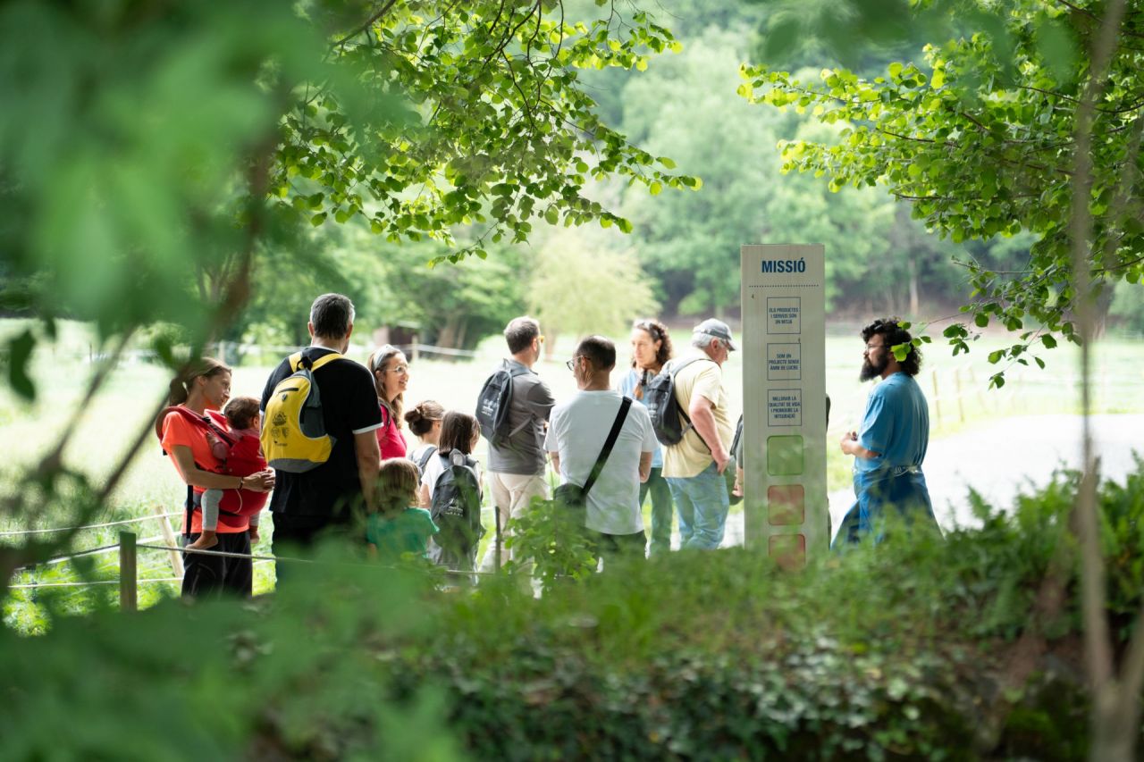 Maig: fageda en ruta