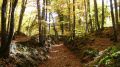 El cor del Parc Natural de la Zona Volcànica de la Garrotxa