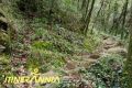 Ruta Xenacs pel camí de les Barrincoles i mirador de puig Rodó. Ruta 2 Les Preses