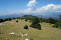 El Talló. Itinerari 6 Consorci Alta Garrotxa