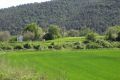 Itinerari saludable Sant Ferriol curt