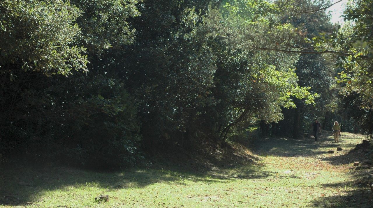 La via romana de Capsacosta