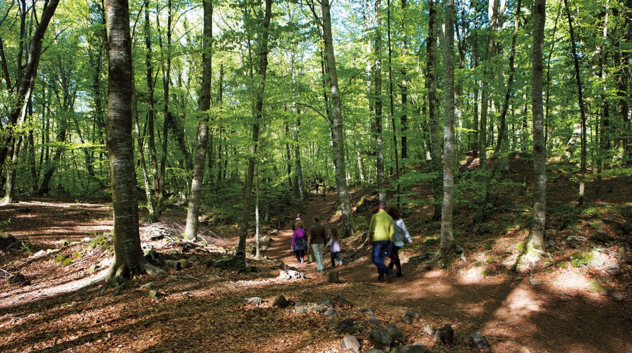 El cor del Parc Natural