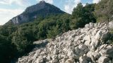 Sadernes - Puig de Bassegoda. Itinerari 5 Consorci Alta Garrotxa