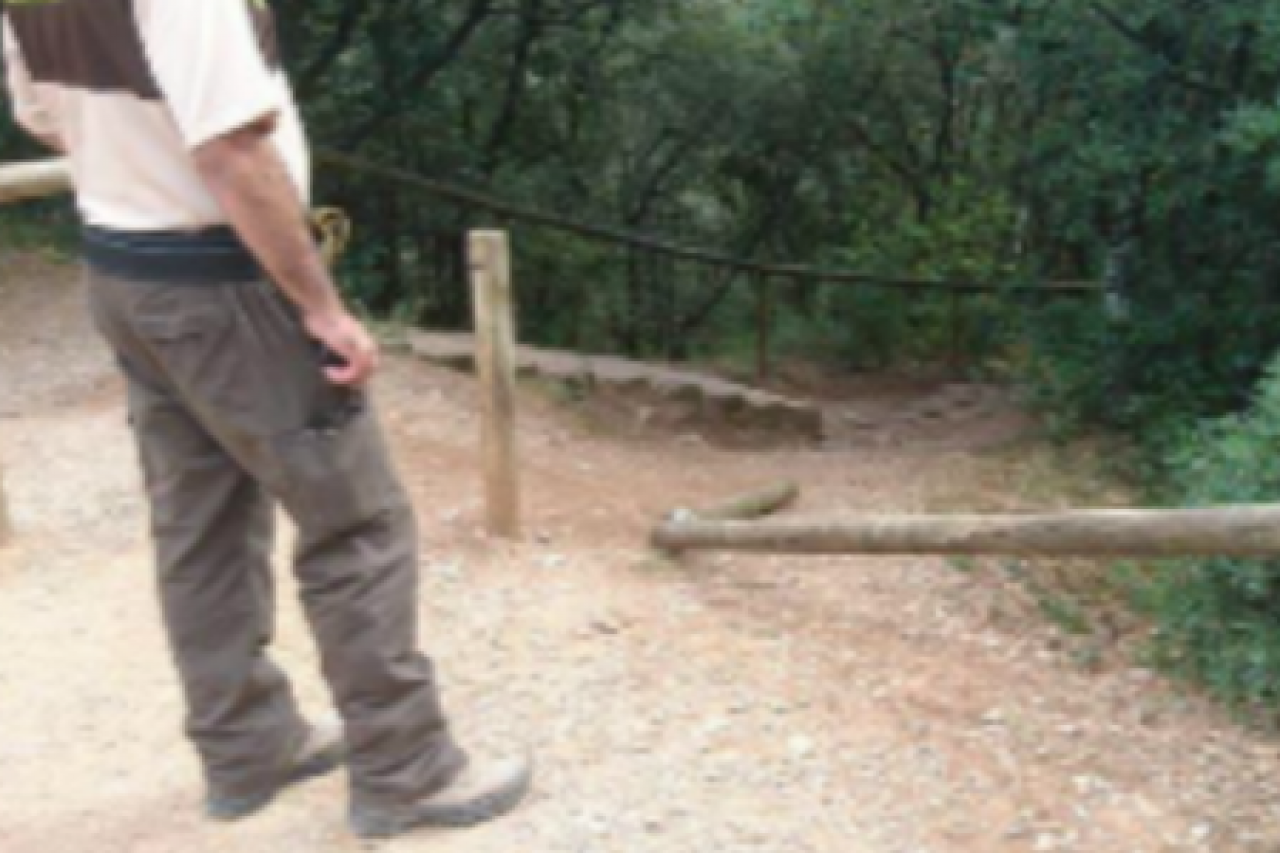 Es torna a activar el Servei de Vigilància i Informació a Sadernes i Sant Aniol d'Aguja