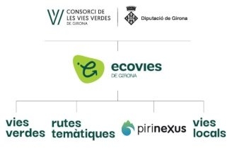 estructura de marques